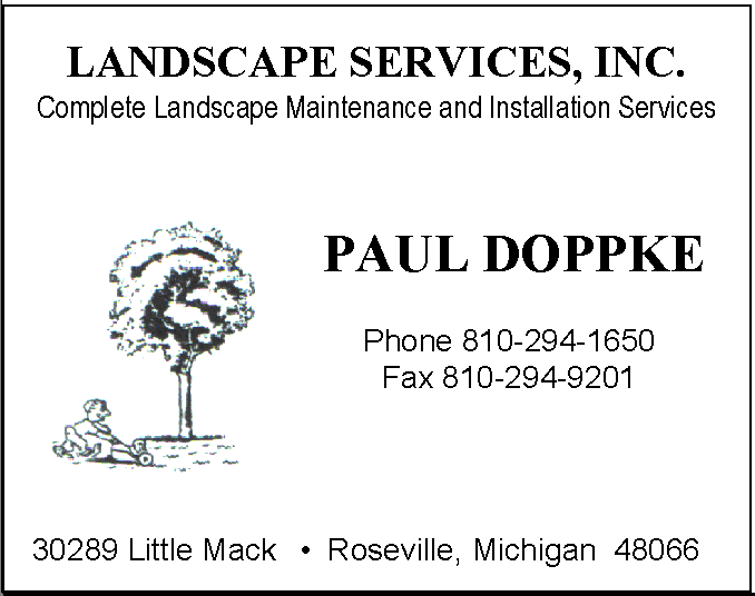 LandscapeSvcs.bmp (365558 bytes)